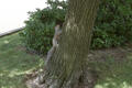 250 scarlett rd unit 1507-large-056-114-nature at 